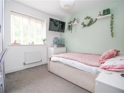 Picture 15